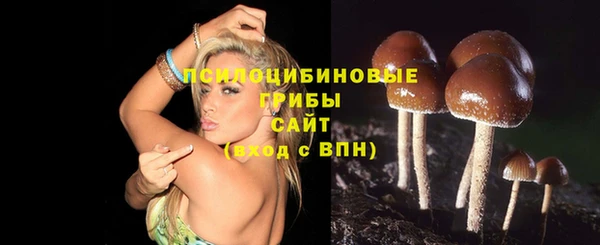 MESCALINE Баксан