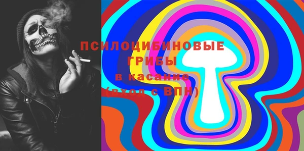 прущие крисы Балахна