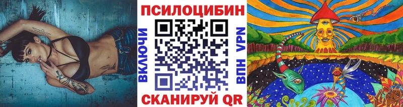 Галлюциногенные грибы Cubensis  Власиха 